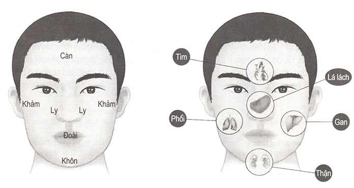 Đỉnh cao công nghệ quét mặt đoán bệnh của Trung Quốc: Nâng khái niệm "diện chẩn" trong Đông y lên một tầm cao mới 1