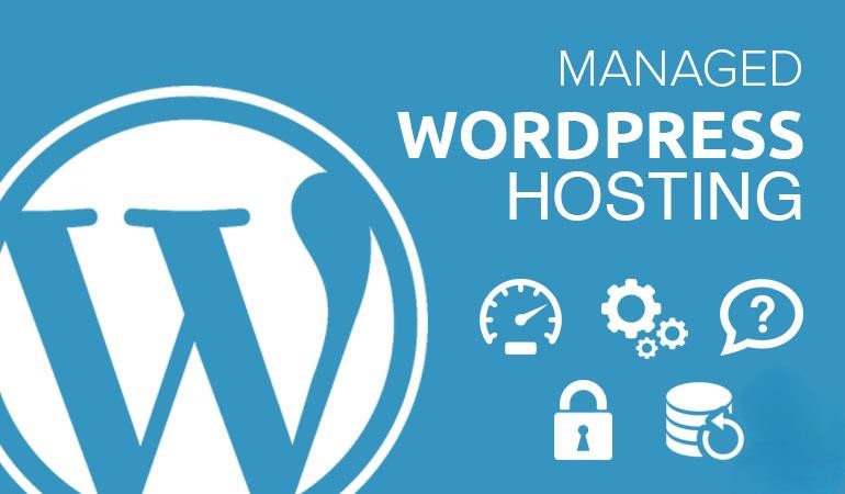 hosting trên wordpress