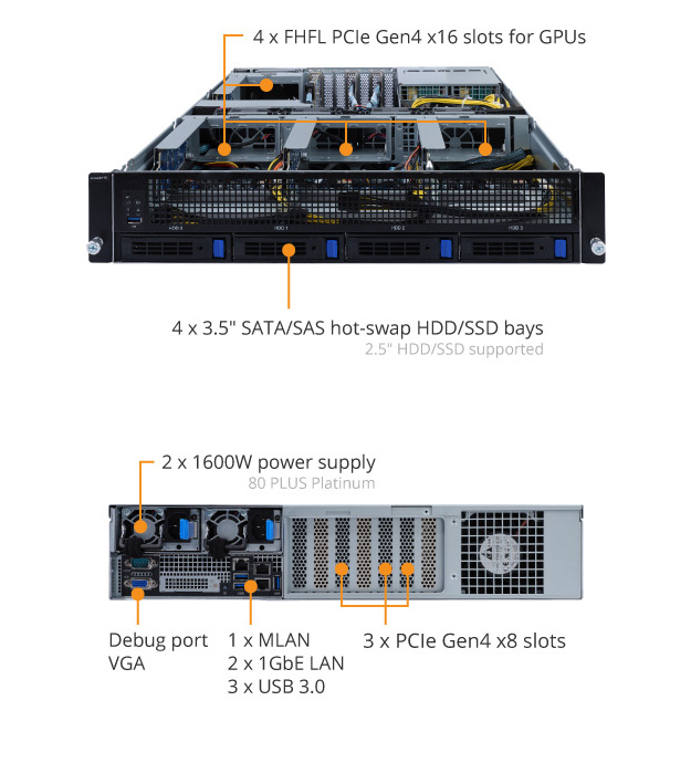 G242-P31 Product Overview