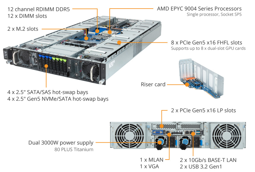 G293-Z22-AAP1 overview