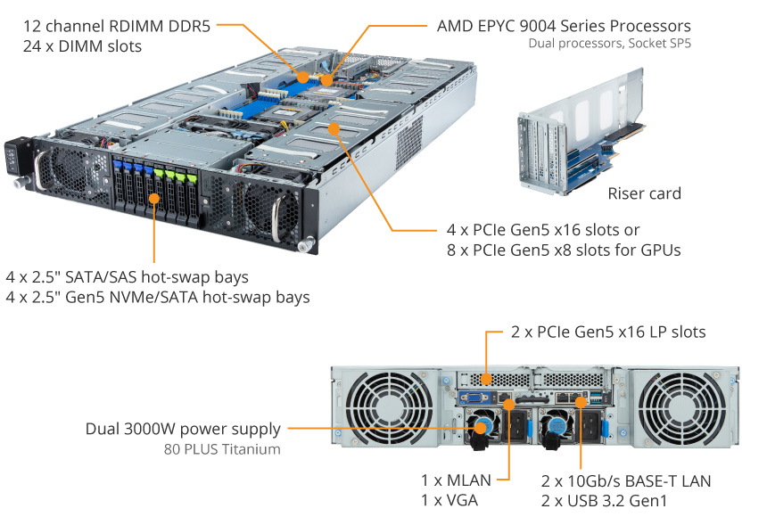 G293-Z41-AAP1 overview