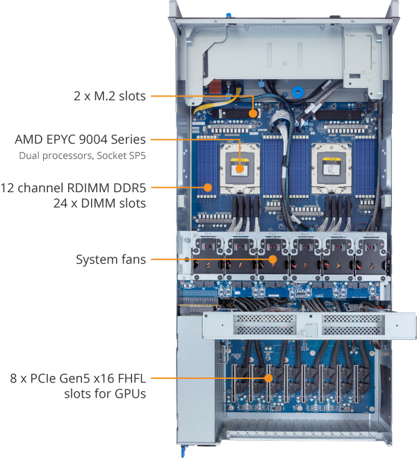 G493-ZB0-rev-AAP1 overview