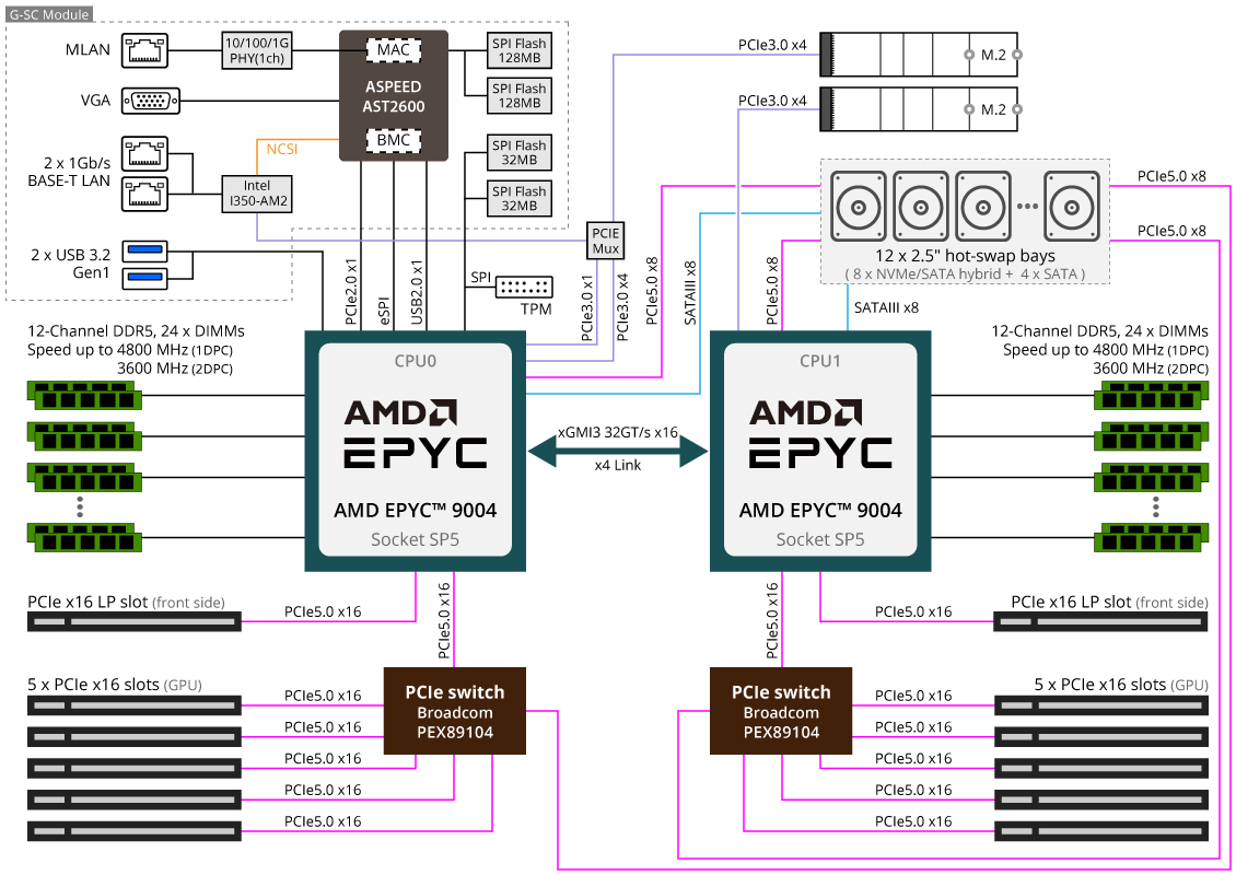 G493-ZB1-rev-AAP1-diagram