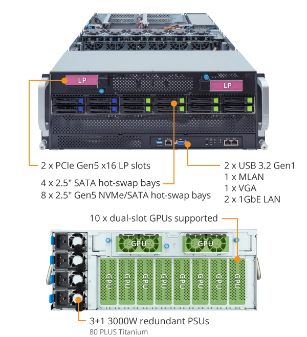 G493-ZB1-rev-AAP1