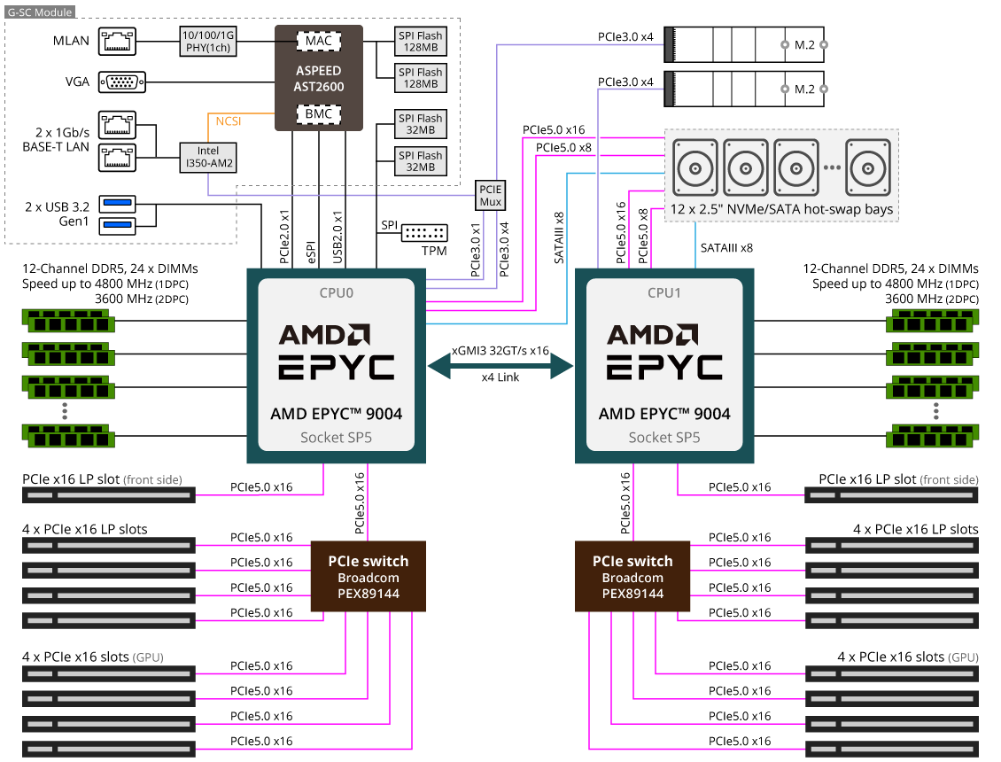 G493-ZB3-rev-AAP1-diagram