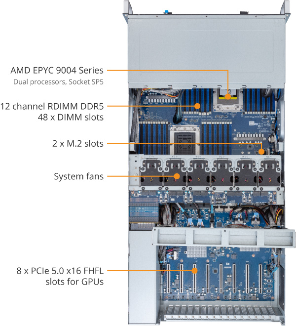 G493-ZB3-rev-AAP1-overview