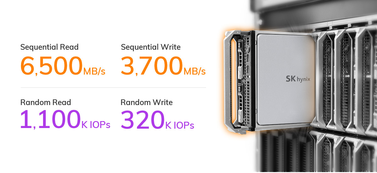 SK Hynix SSD PE8000